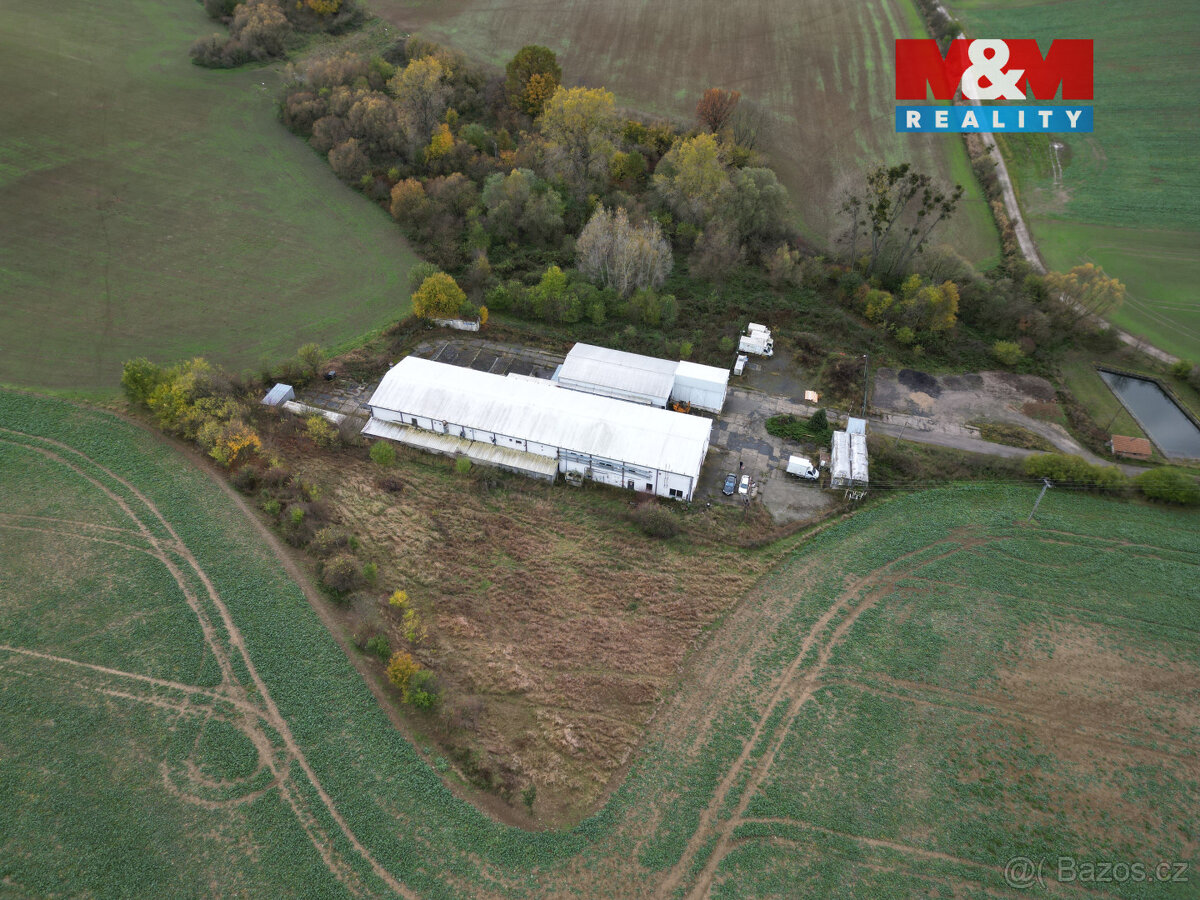 Pronájem výrobního objektu, 2400 m², Litenčice - 4