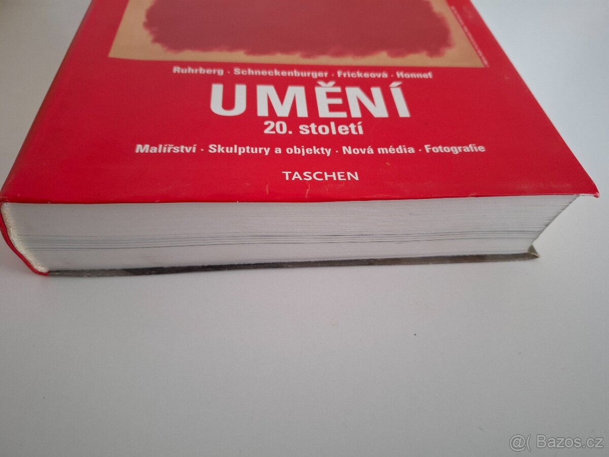 Umění 20.století - 4