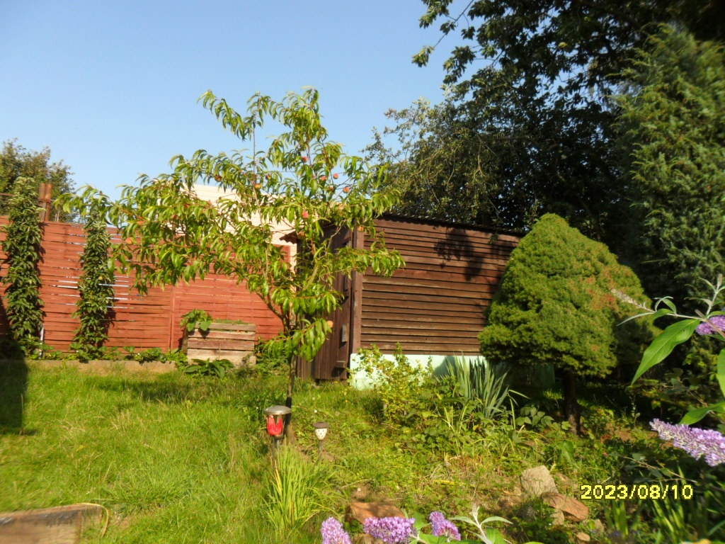 Rekreační chata - 4