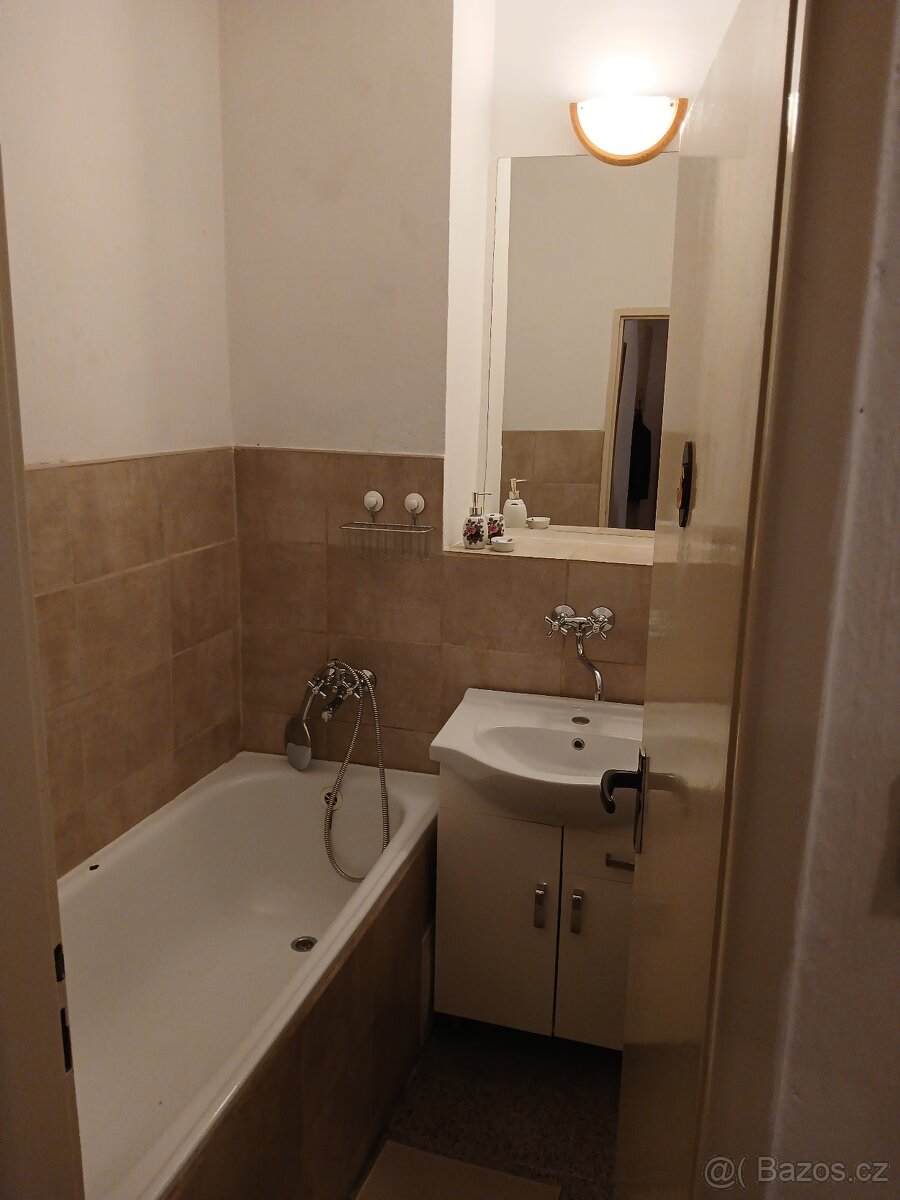 Pronájem 1+1 Brno - 4