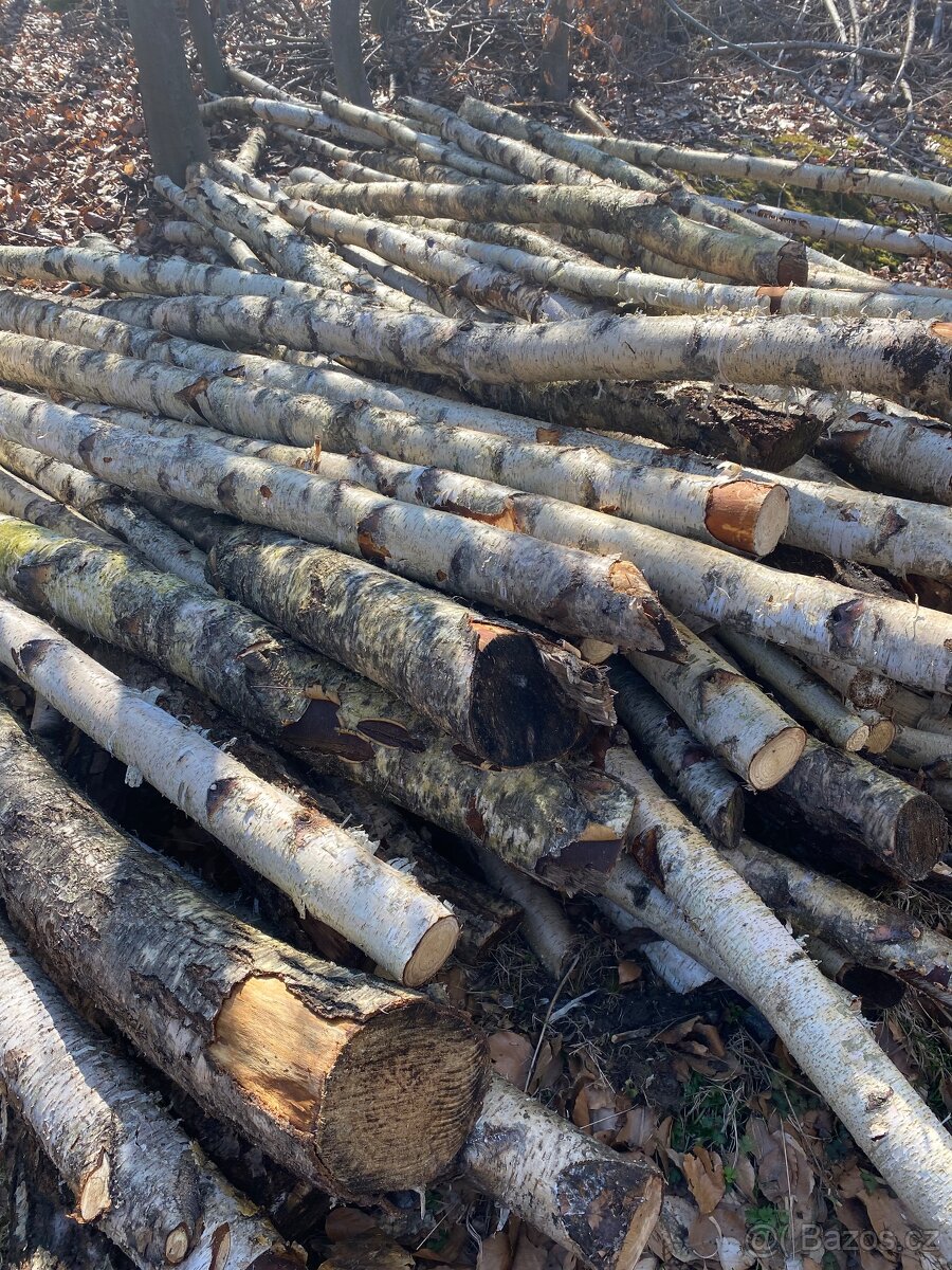 Palivové dřevo tvrdé,měkké.. - 4