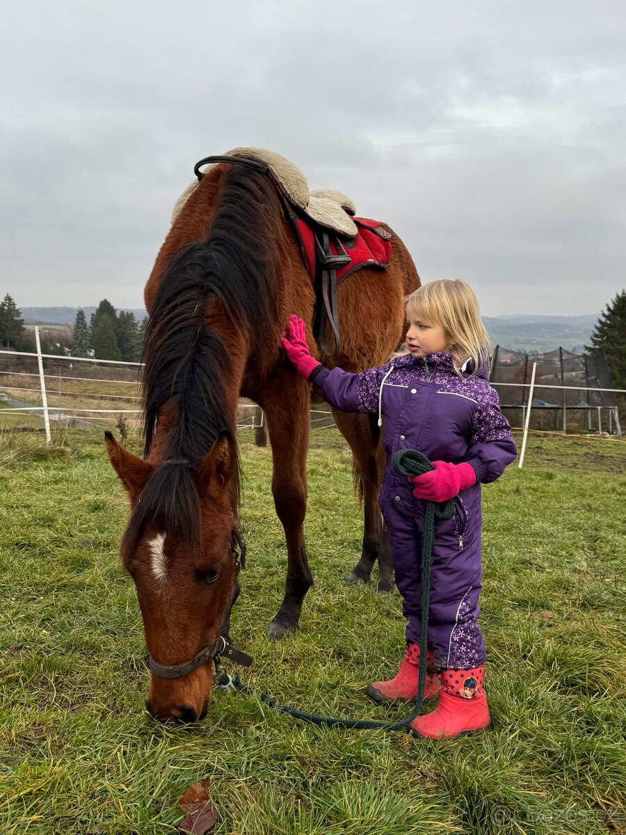 Hodný hřebeček - 4