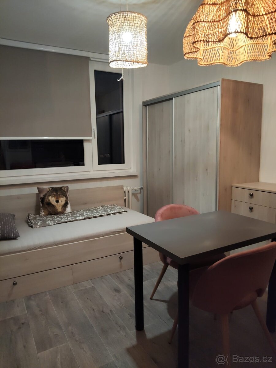 Prodej bytu - garsonka, ulice Kostnická. - 4