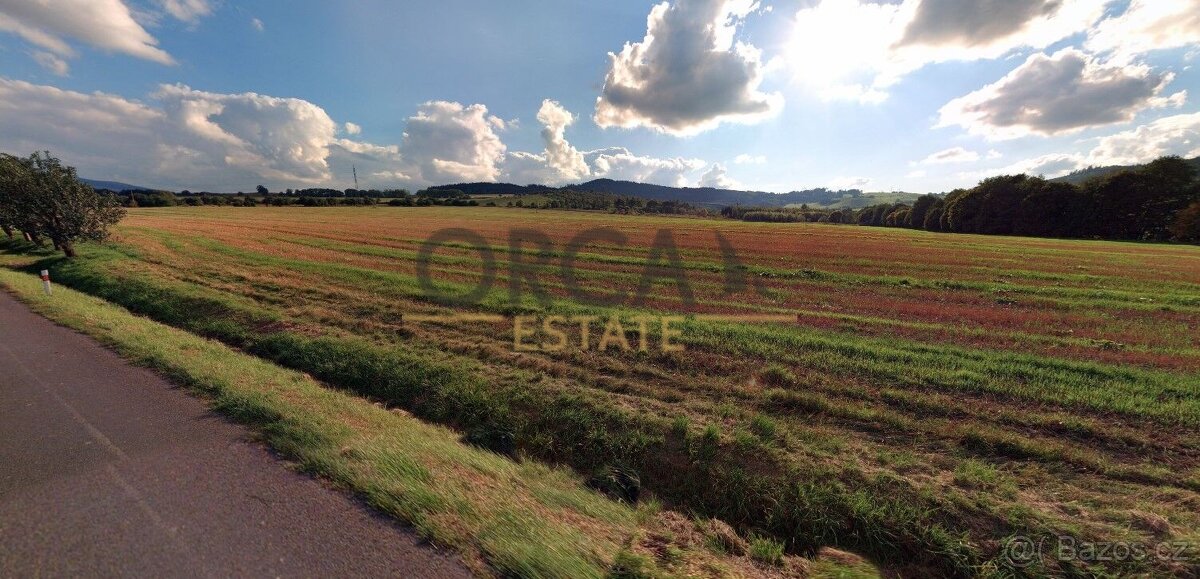 Prodej 0,6 ha zajímavého pozemku v k.ú. Opálka - 4