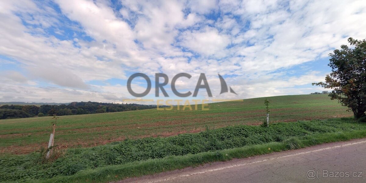 Prodej pozemku o výměře 1977 m2 v k. ú. Herálec (okres Havlí - 4