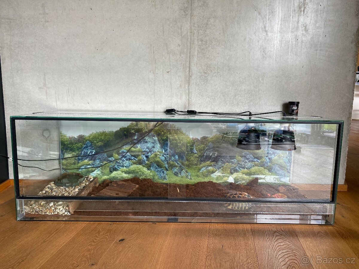 Zelva zelenava, vcetne teraria. - 4