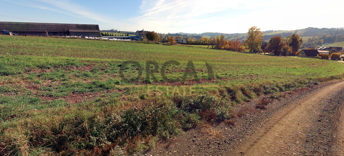 Prodej 0,3 ha zajímavých pozemků v k. ú. Libštát - 4