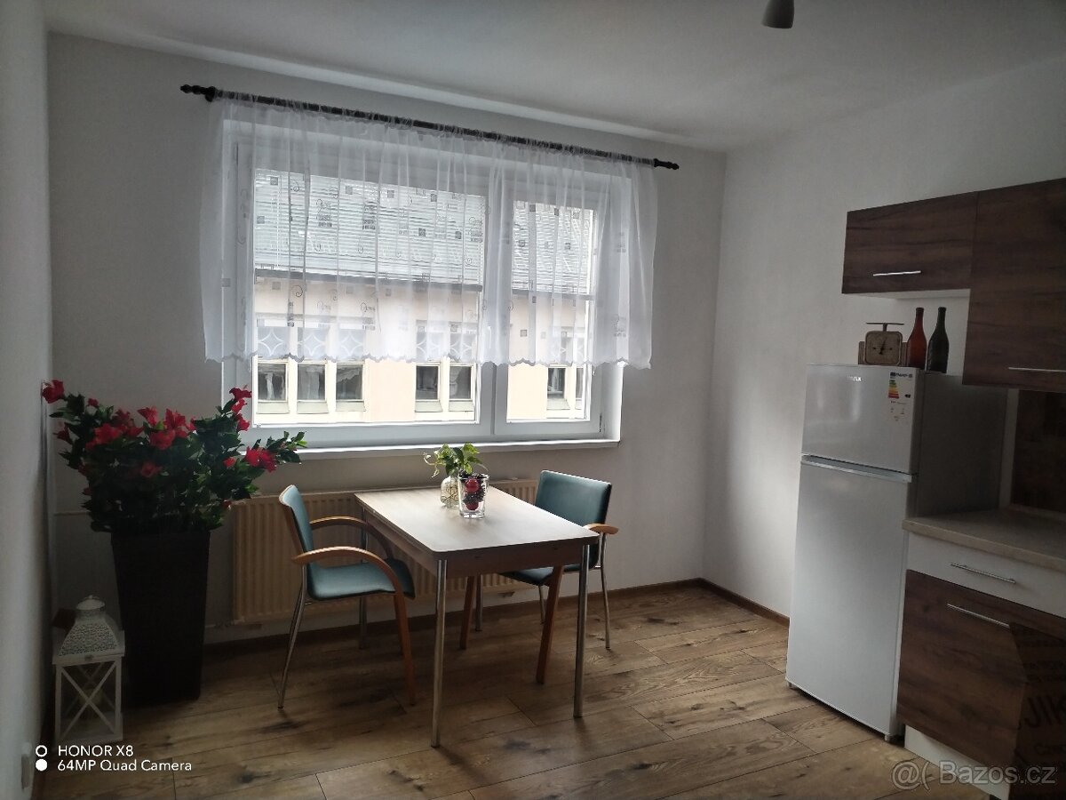 Byt 2+1 v Kraslicích,přechod Německo. - 4