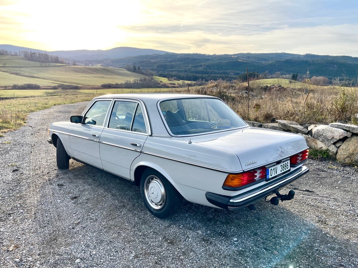 Mercedes benz w123 250 - 4
