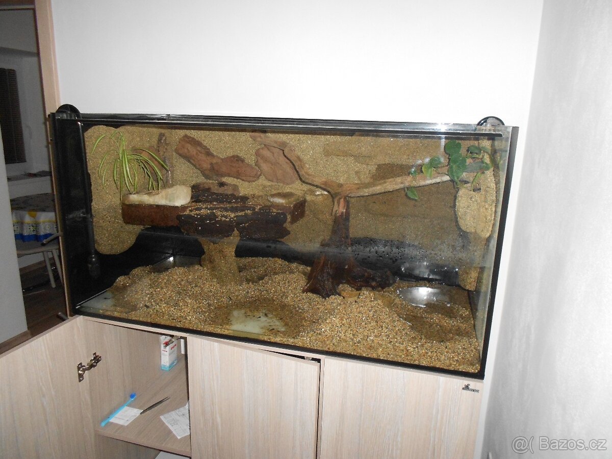 Akvárium - 4