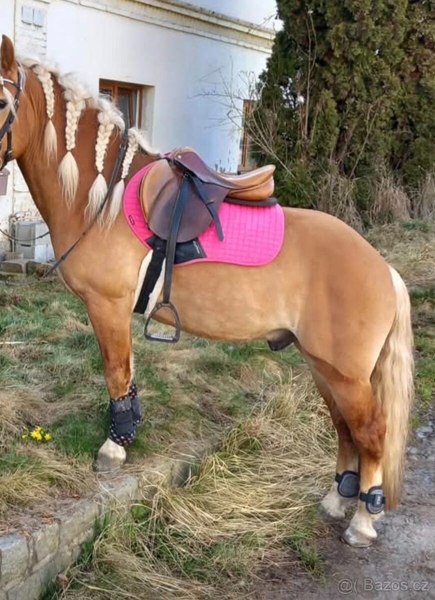 Podsedlové dečky LeMieux Suede Square - 4