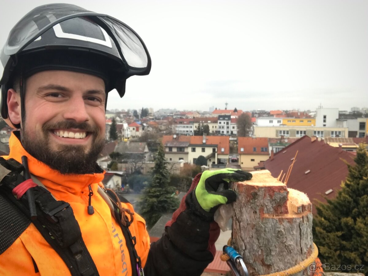 Rizikové kácení - 4