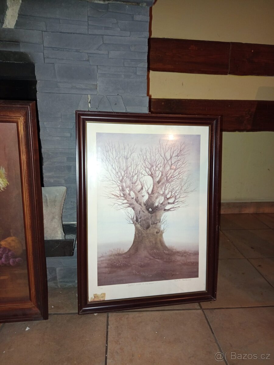 Prodám sbírku obrazů 24 kusů - 4