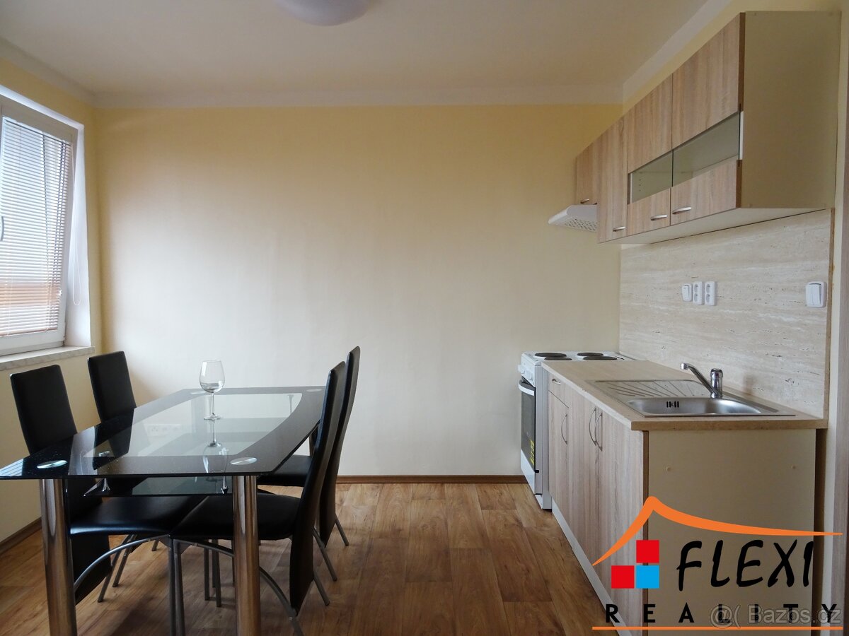 Pronájem částečně zařízeného bytu 1+1 s lodžií, 48m², Moravs - 4