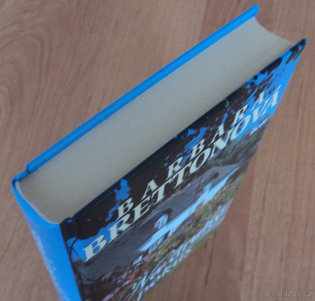 Barbara Brettonová – Na druhý pokus - 4