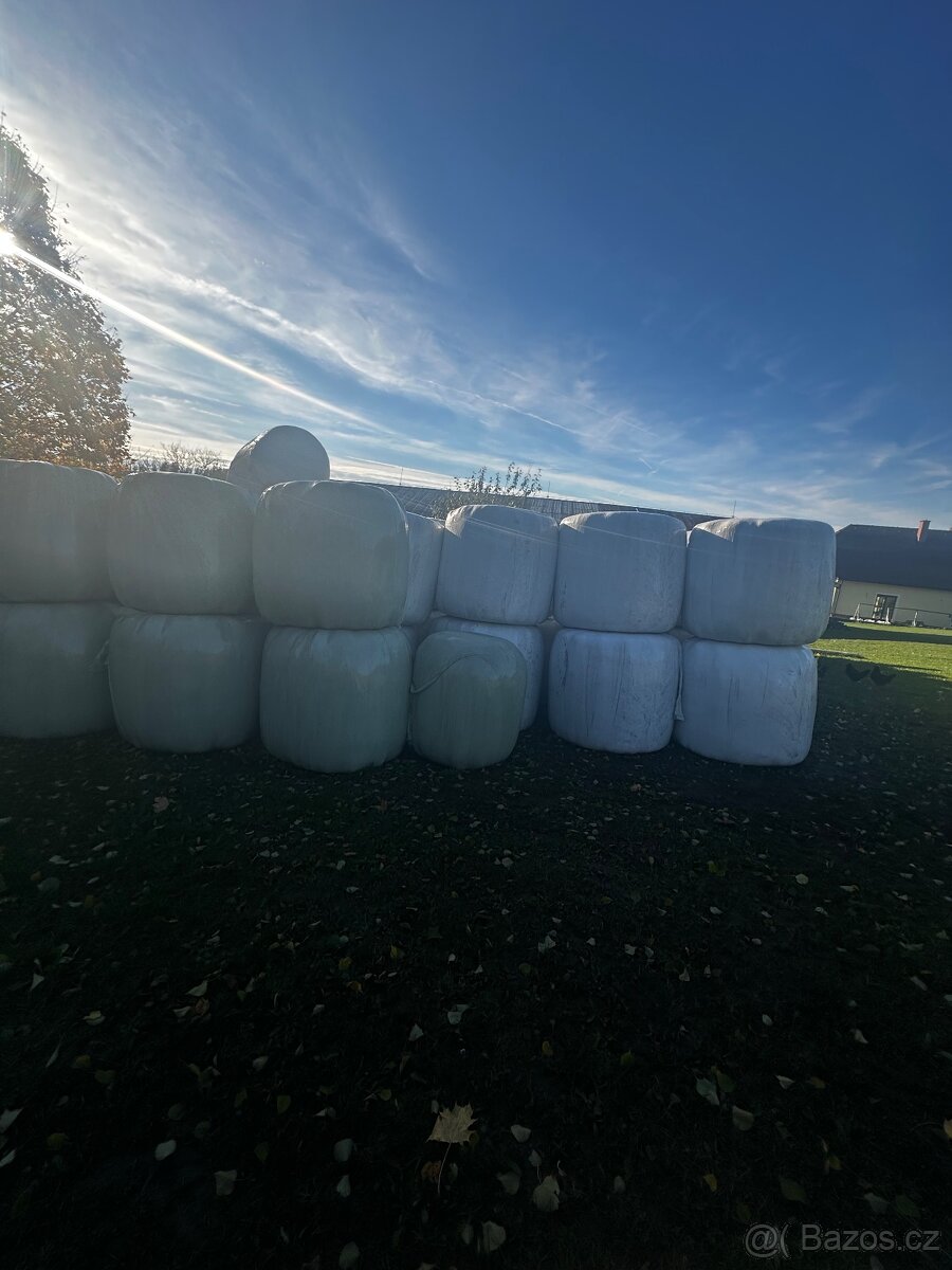 jetelotravní senáž - 4