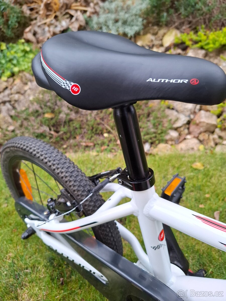 Author Record 16 - 4