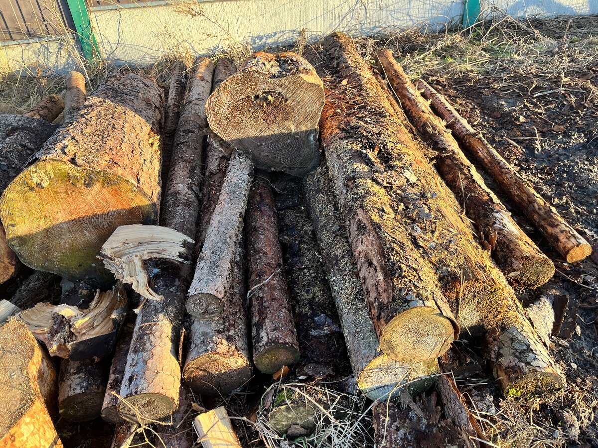 Palivové dřevo - 4