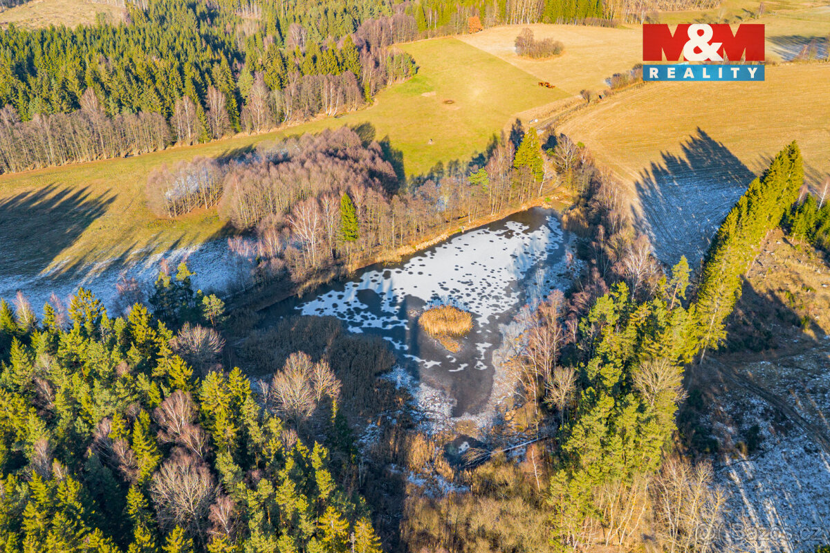 Prodej vodní plochy, 21990 m², Horní Ves - 4