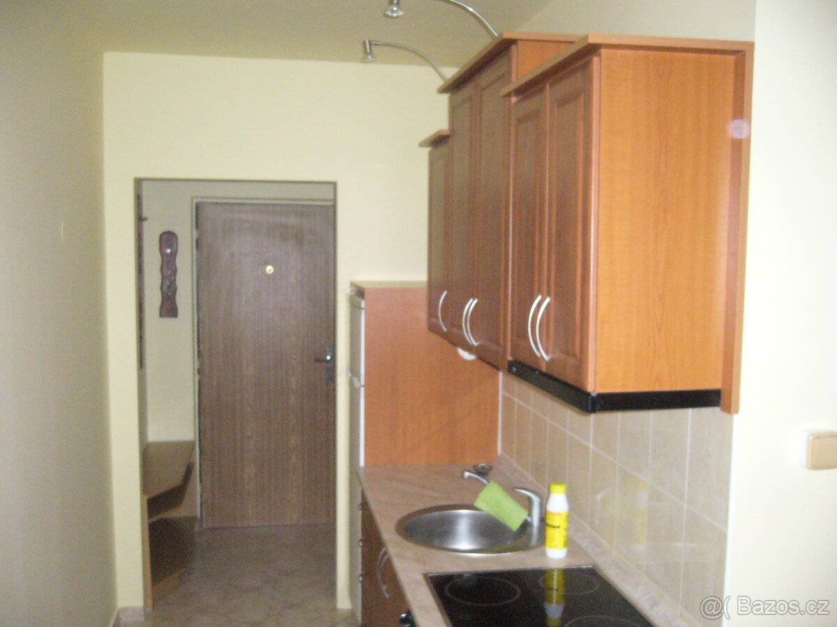 Pronájem bytu 1+kk - Močidla 2160 - 4