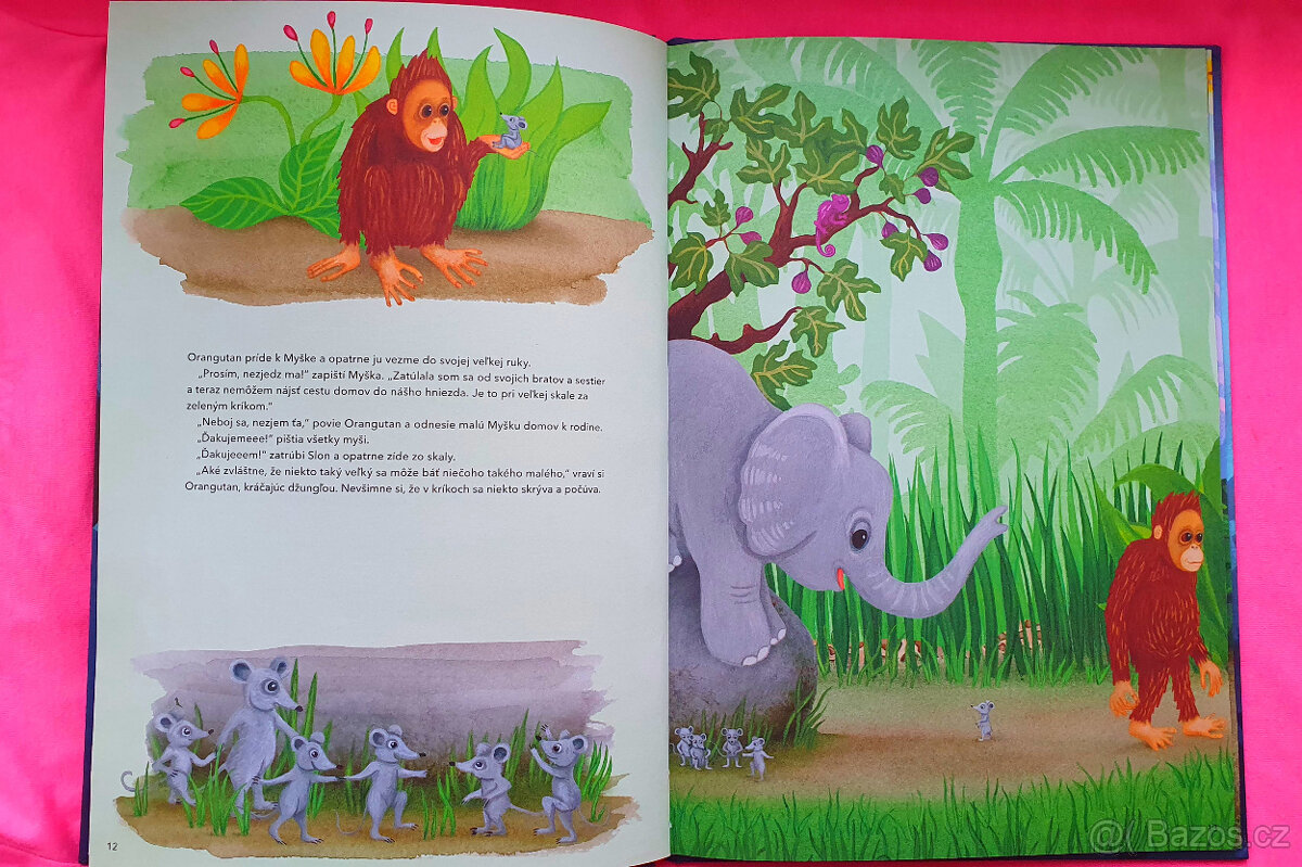 Bojazlivý orangutan. - 4