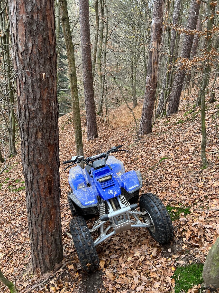 Yamaha Warrior 350