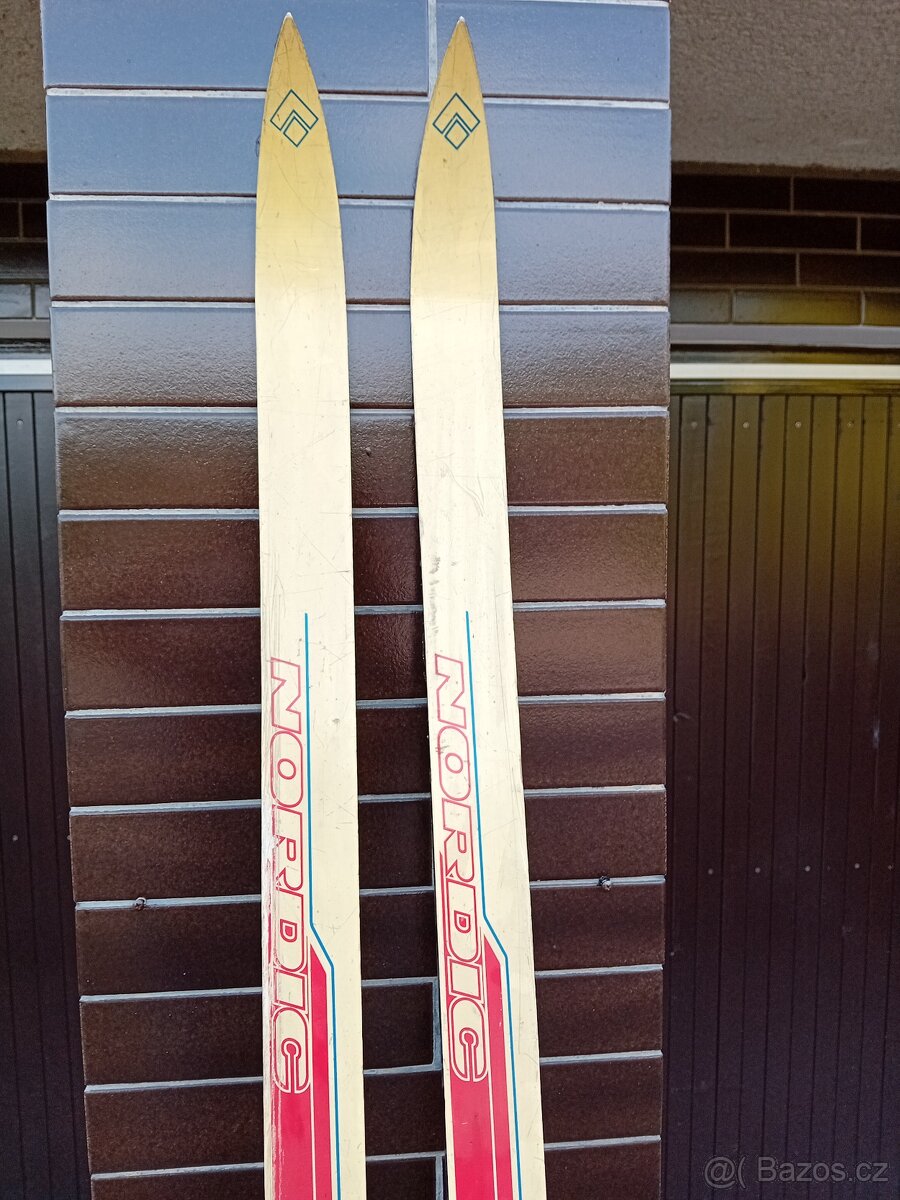 Běžky Artis Nordic 860 210cm - 4