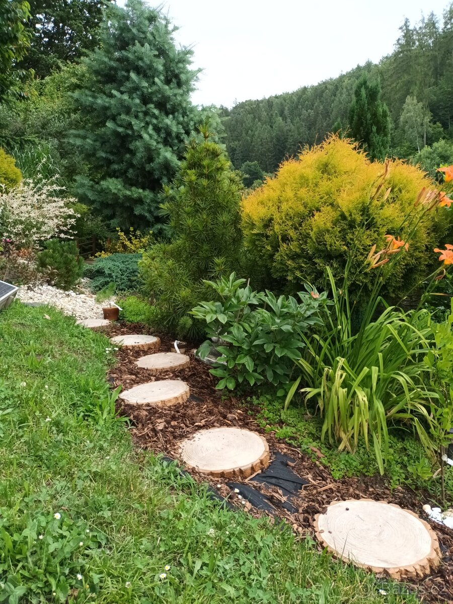 Zahradní nášlapy-umělý kámen, imitace dřeva - 4