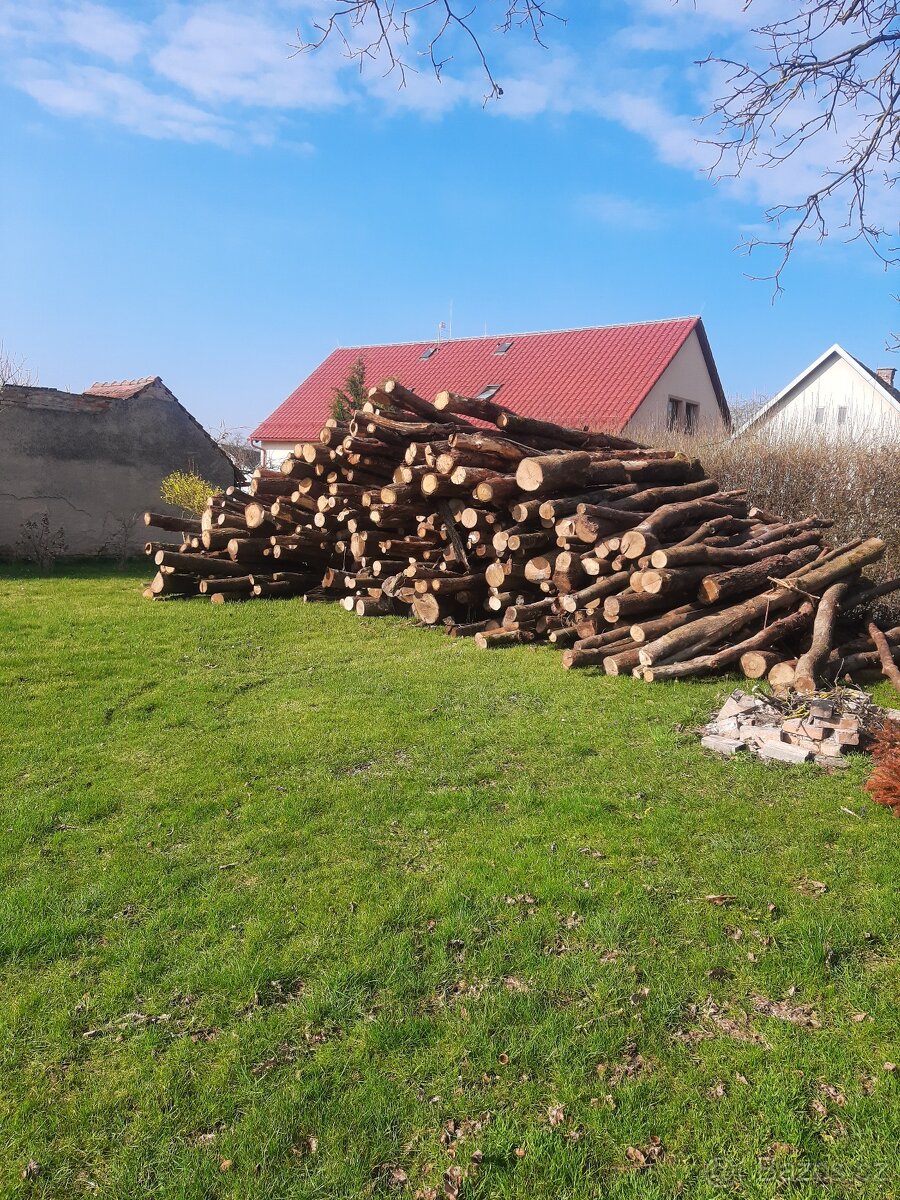 Suche palivove drevo - 4