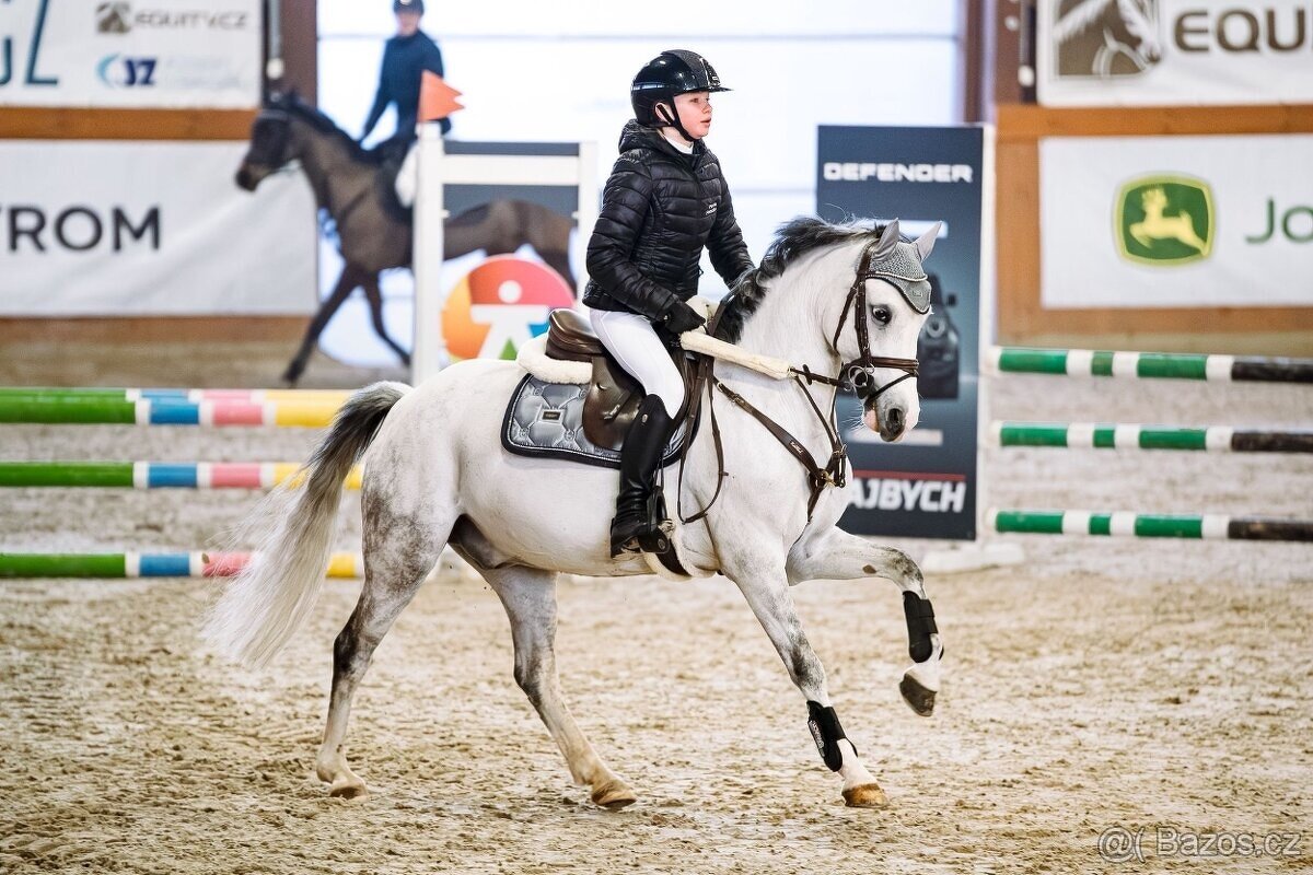 Nádherný pony valach - 4