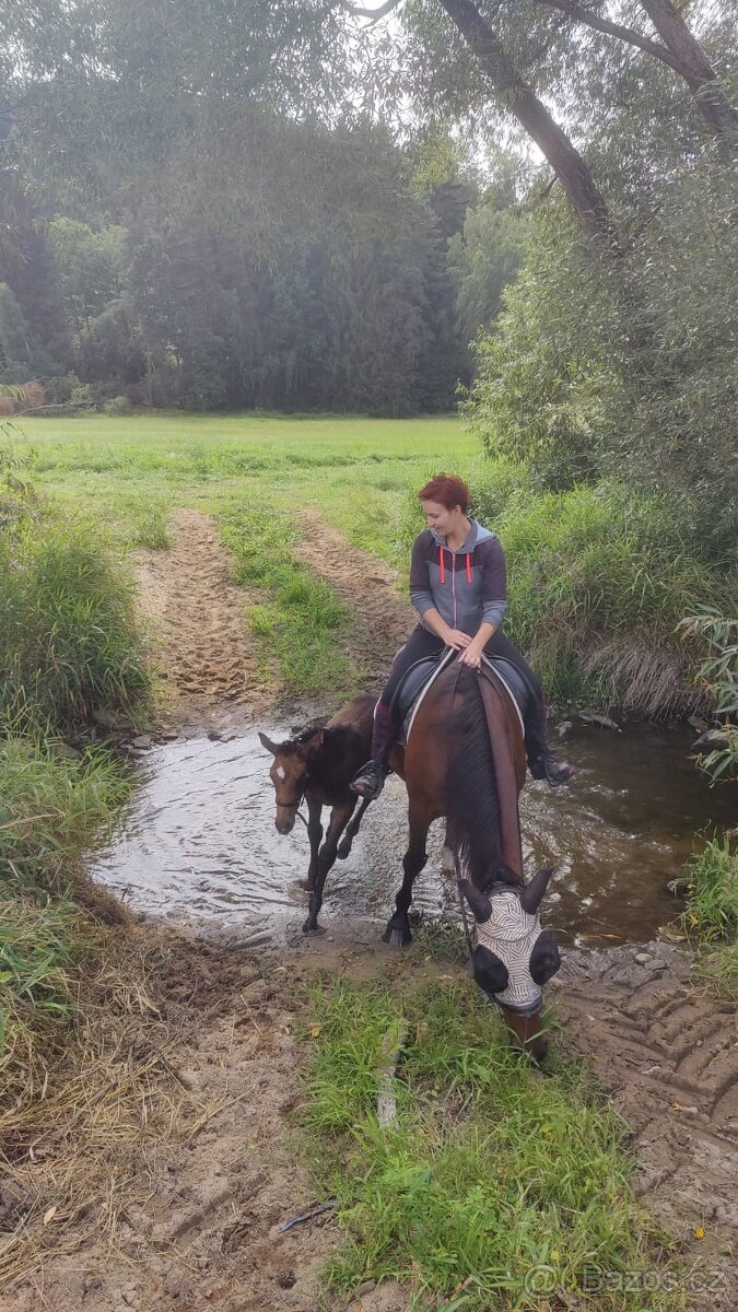 Letošní hřebeček po Li-Quite - 4