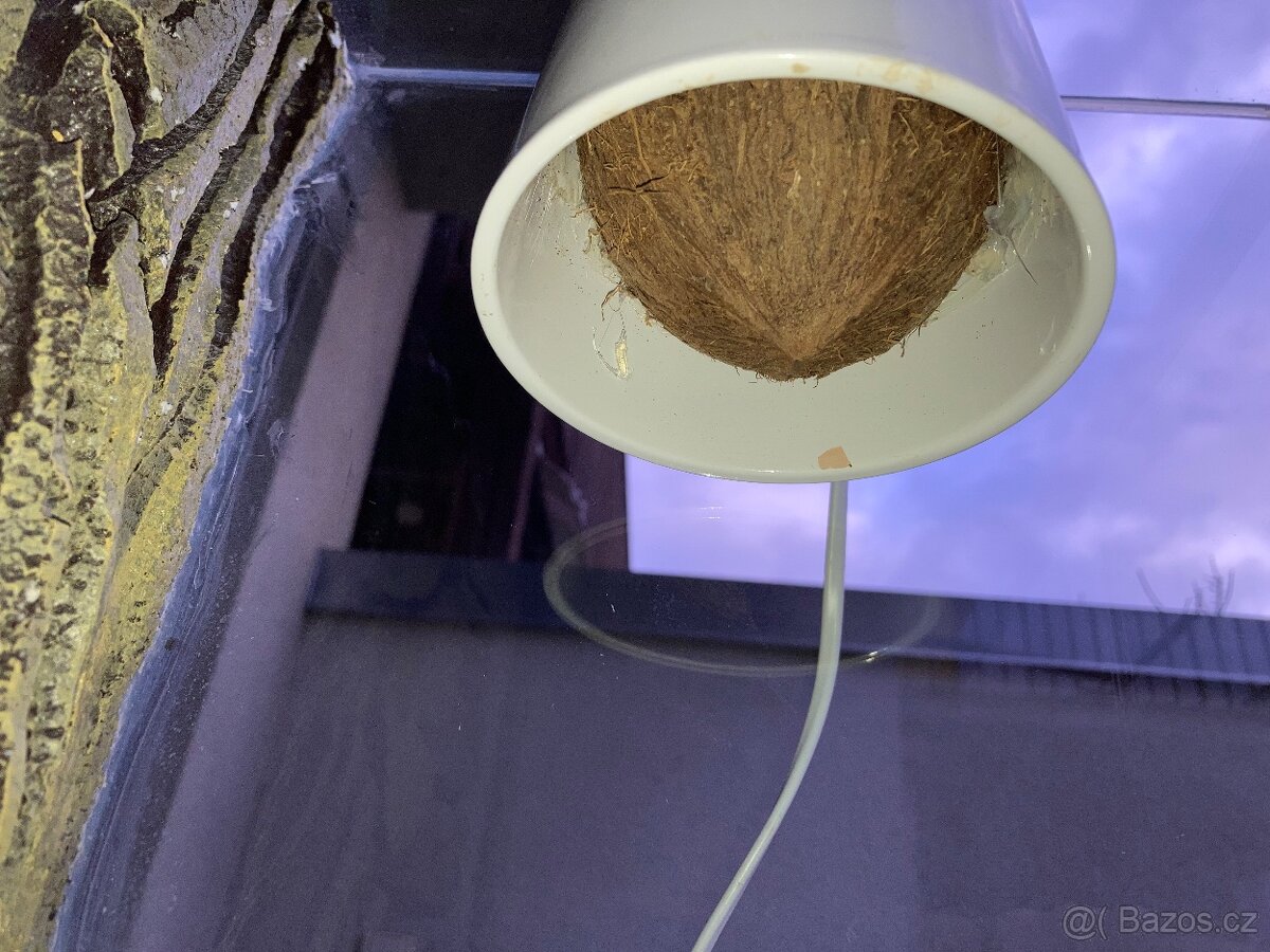 Terárium 30x30x40 - 4