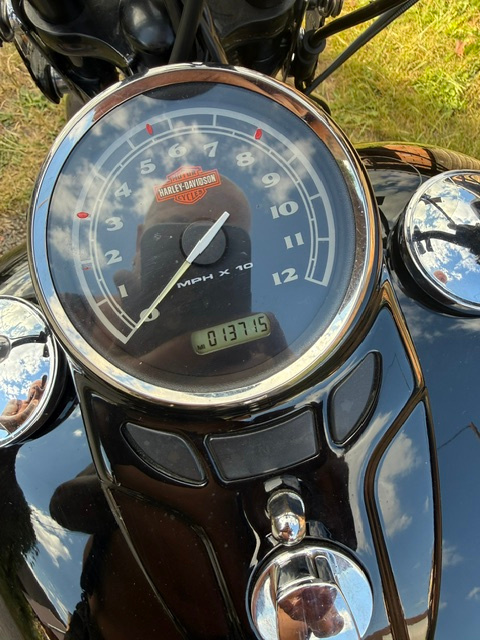 Harley Davidson Springer Softail - 4