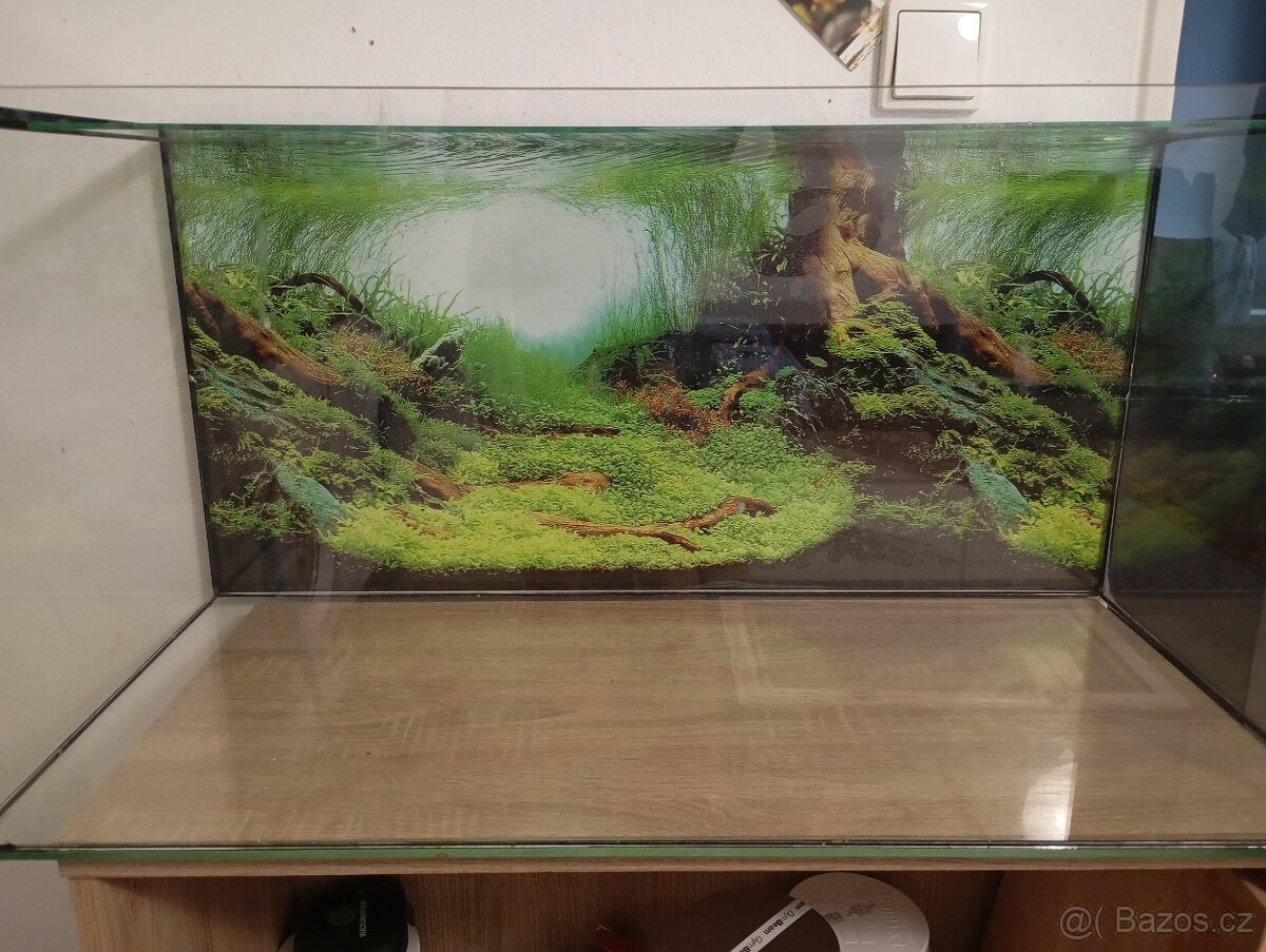 Akvárium - 4