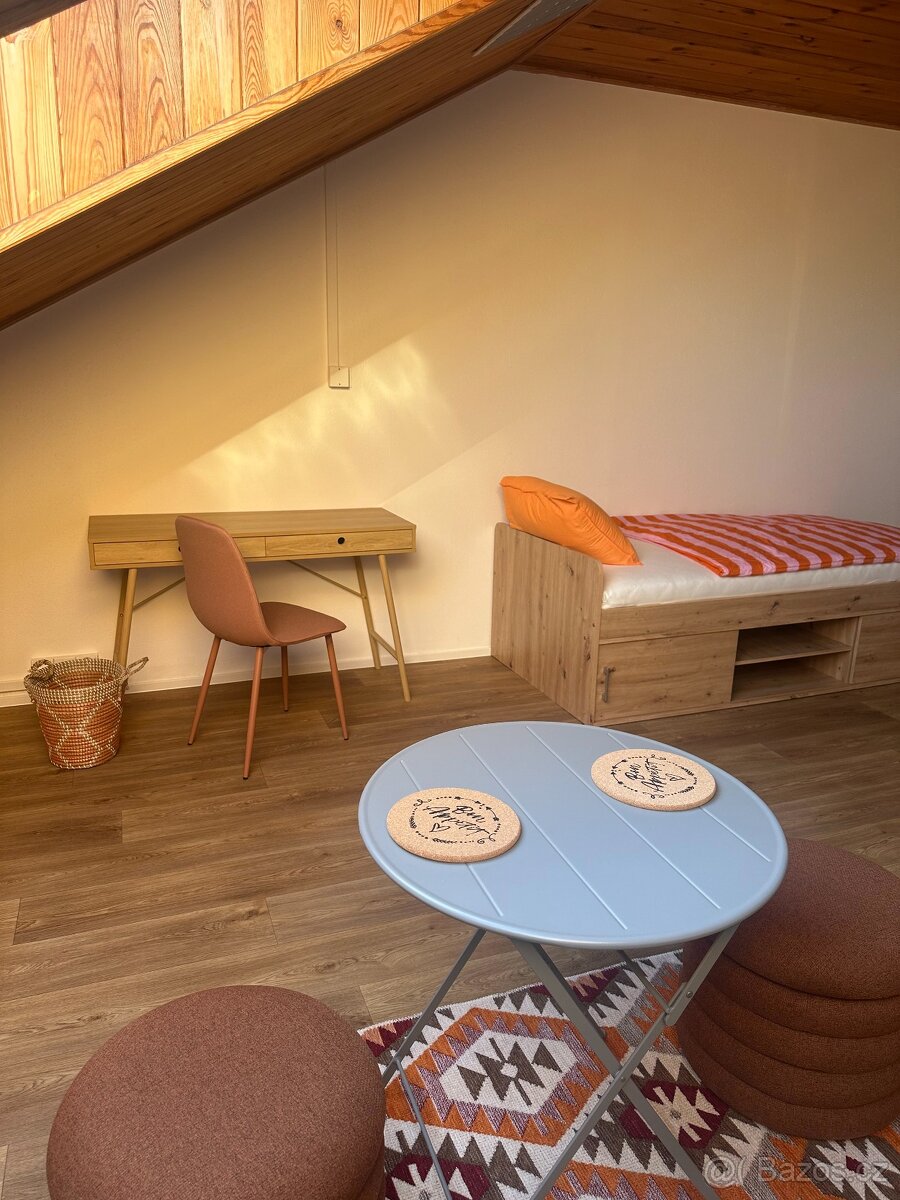 Bydlení pro studenty a mladé pracující blízko centra Opavy - 4