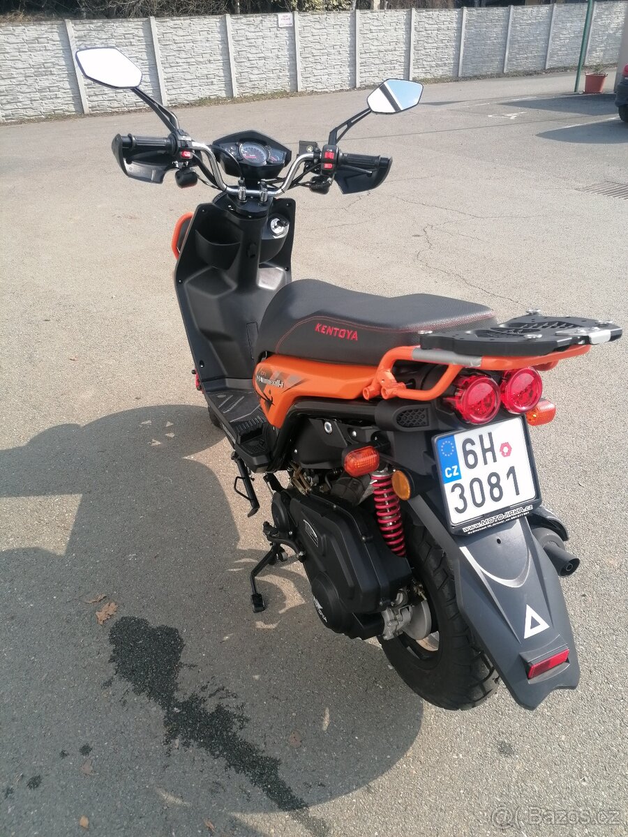 Kentoya HAMMER II - 4