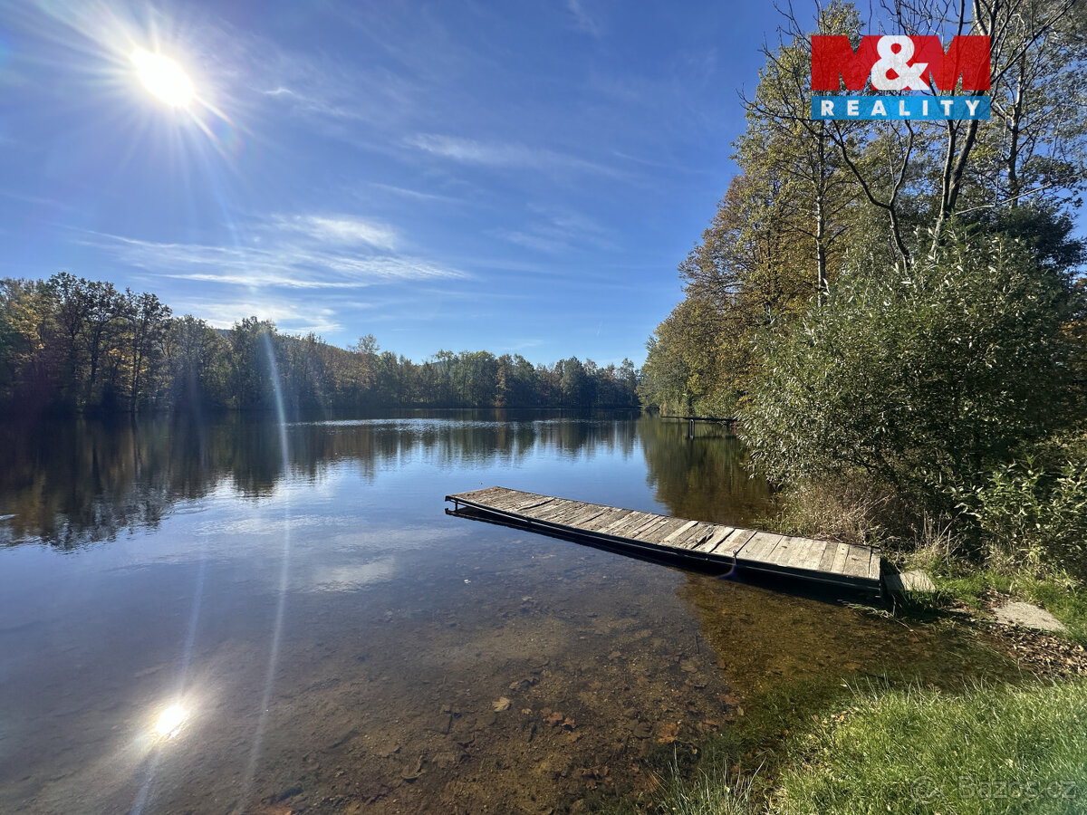 Prodej vodní plochy v Novém Městě pod Smrkem - 4