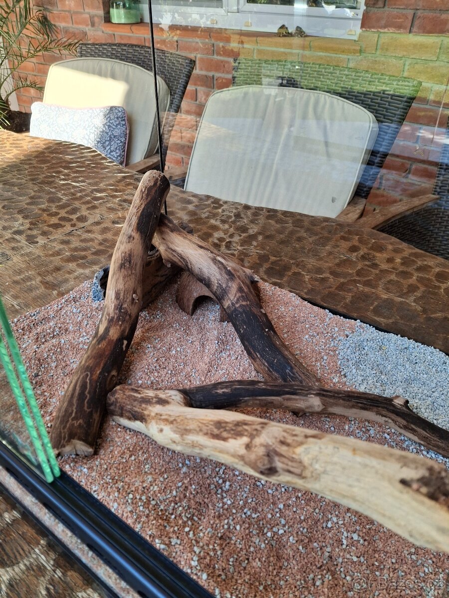 Prodám terárium o rozměrech 50×40×40cm. - 4