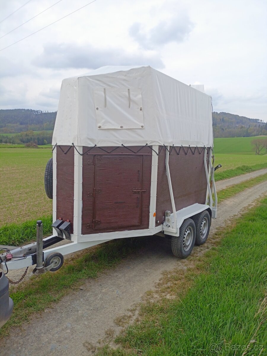 Pronájem přepravníku, přeprava zvířat , auto přepravník., - 4