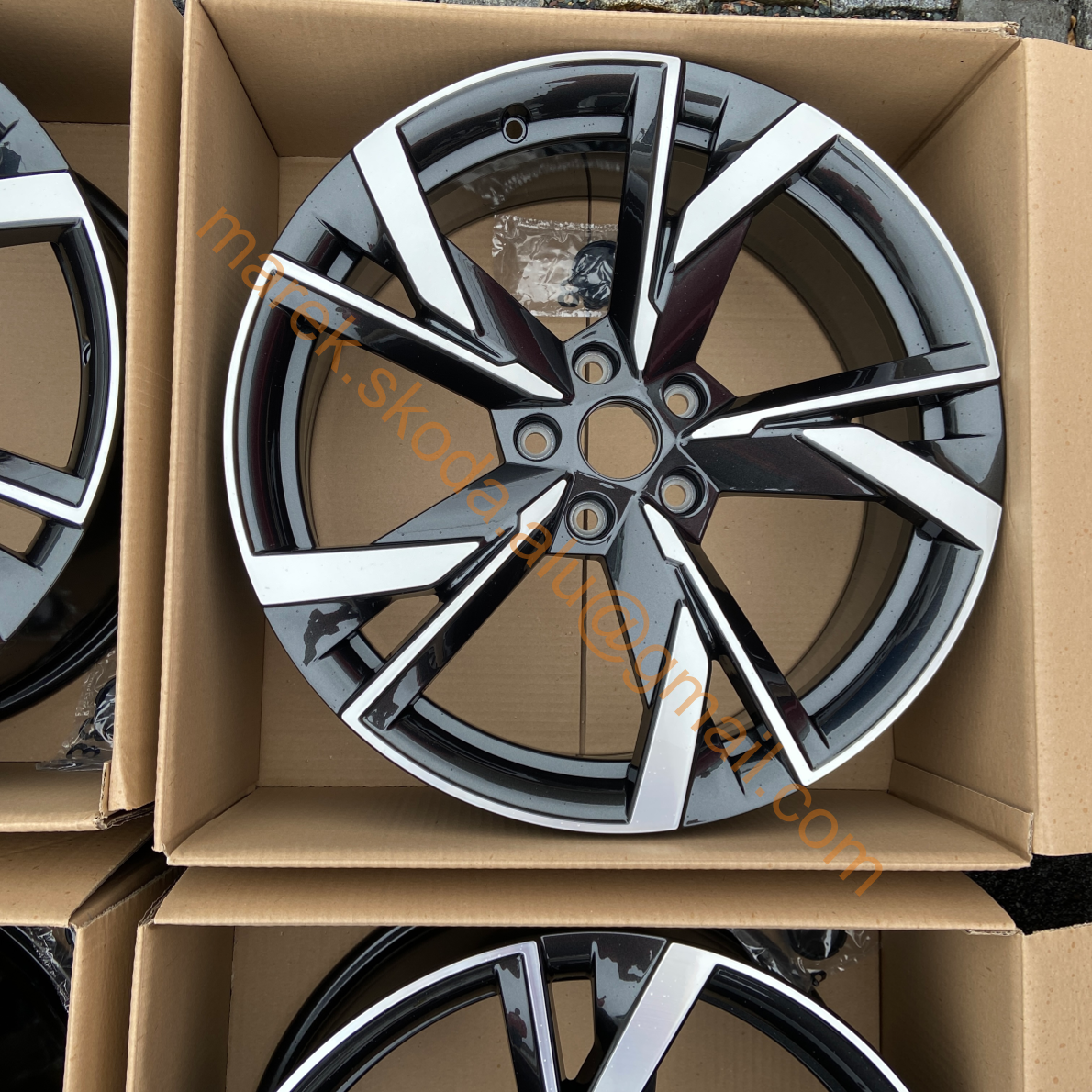 Nové DRACONIS OCTAVIA IV - 4