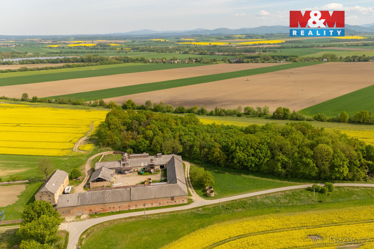 Prodej louky, 2451 m², Javorník - 4