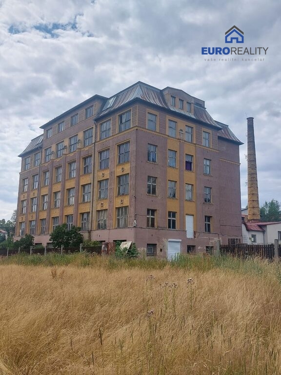 Prodej, bytový dům, 5 379 m2, Aš - 4