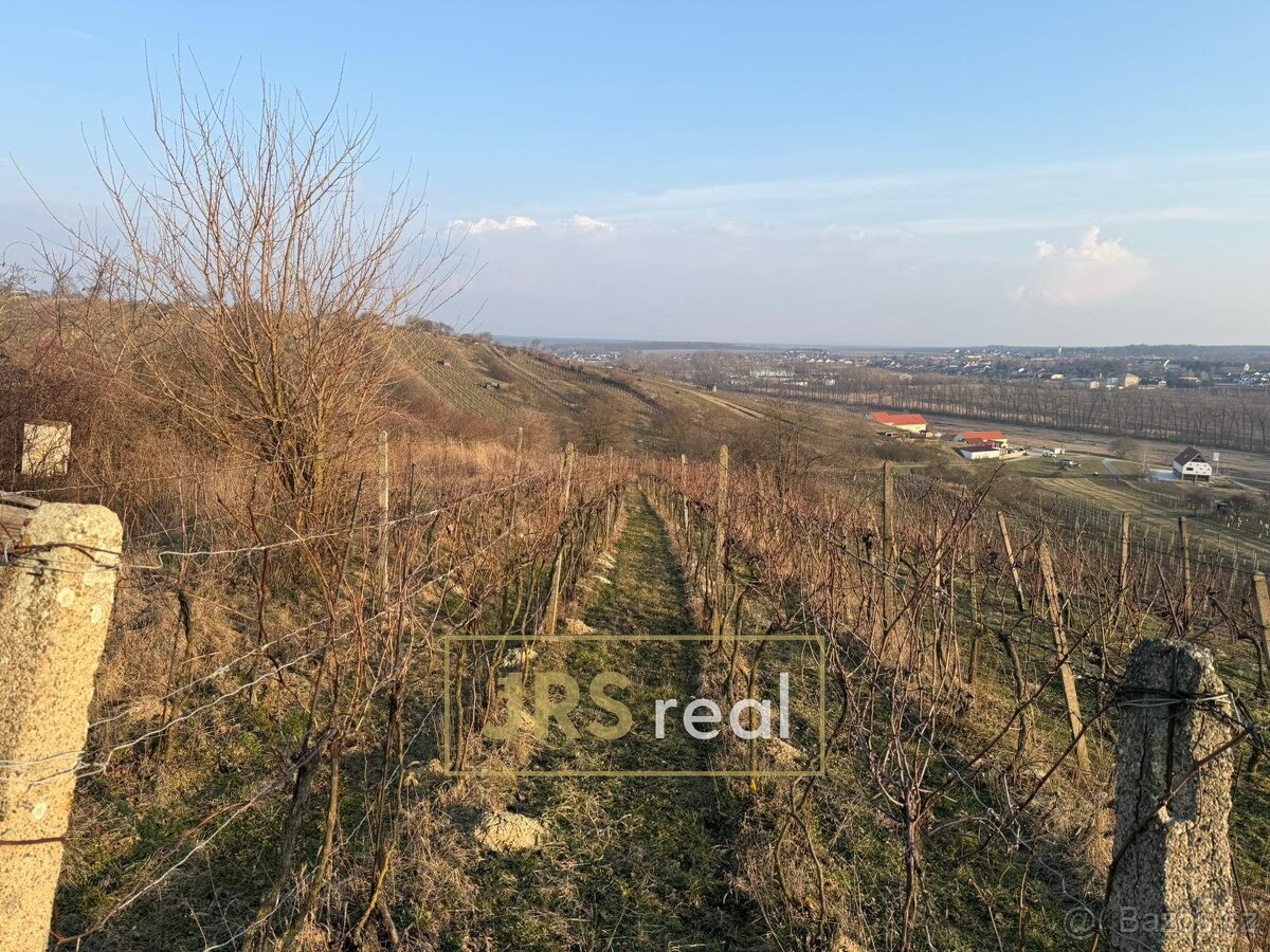 Prodej vinice 2 669 m², Mutěnice, ev.č. 130093JV - 4