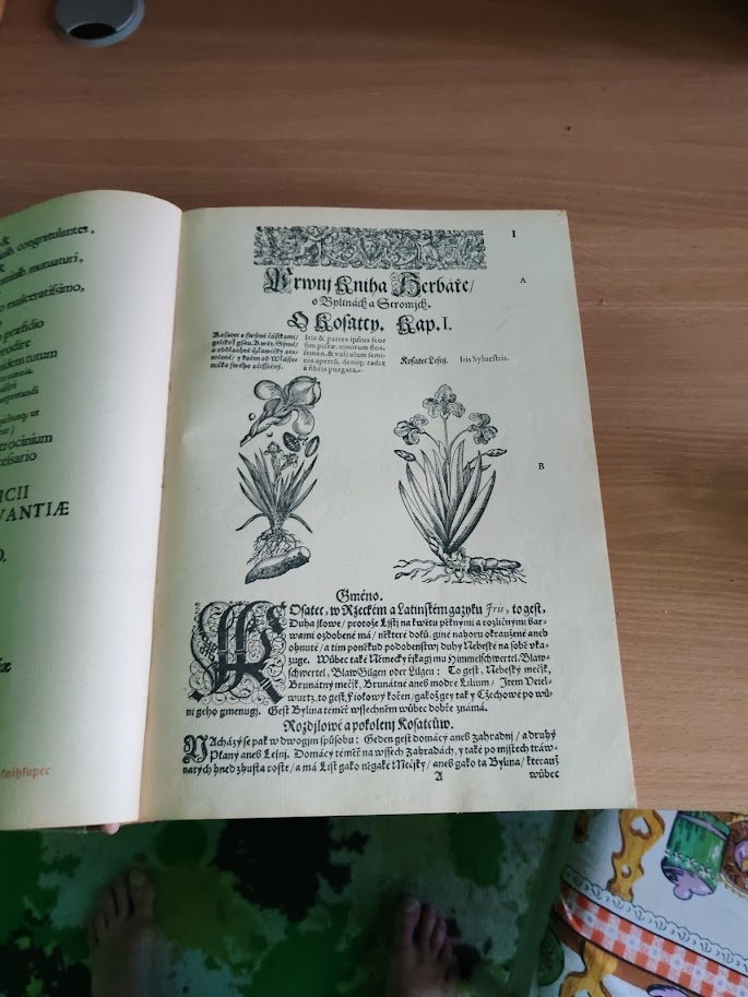 Prodám knihu herbář aneb bylinář - 4