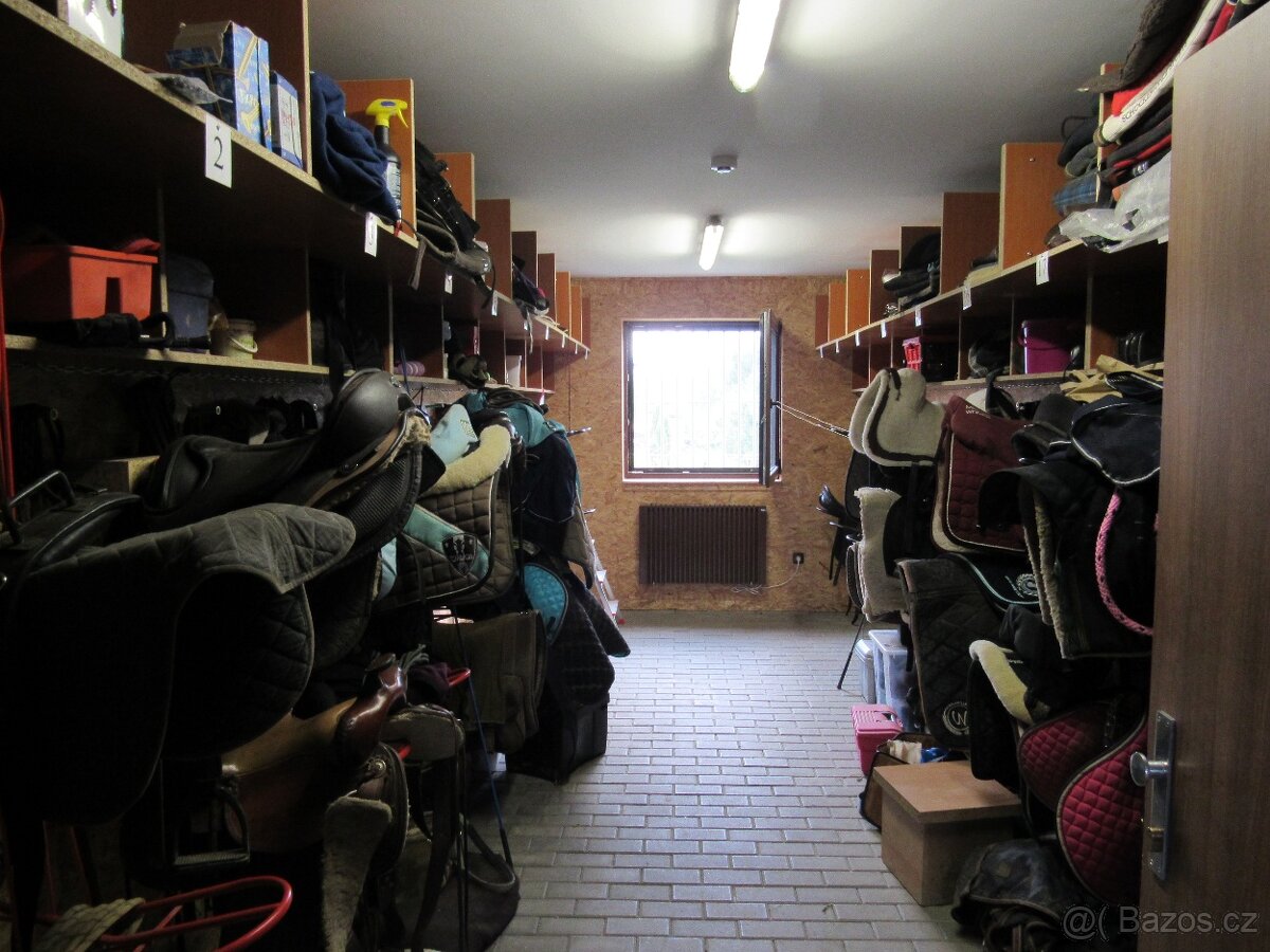 Nabízím boxové a venkovní ustájení koní. - 4