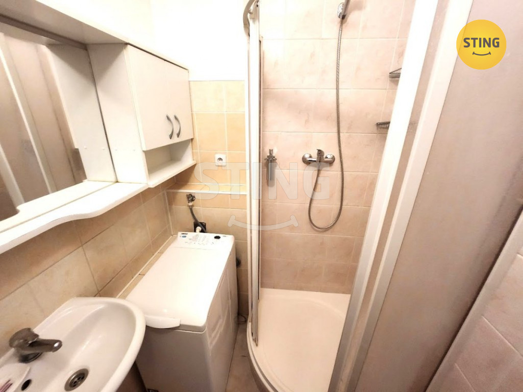 Pronájem částečně vybaveného bytu, 133121 - 4