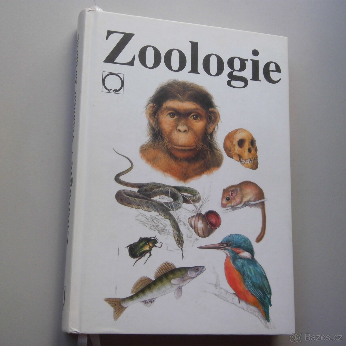 Biologie, sociologie, matematika, zeměpis, chemie atd. - 4