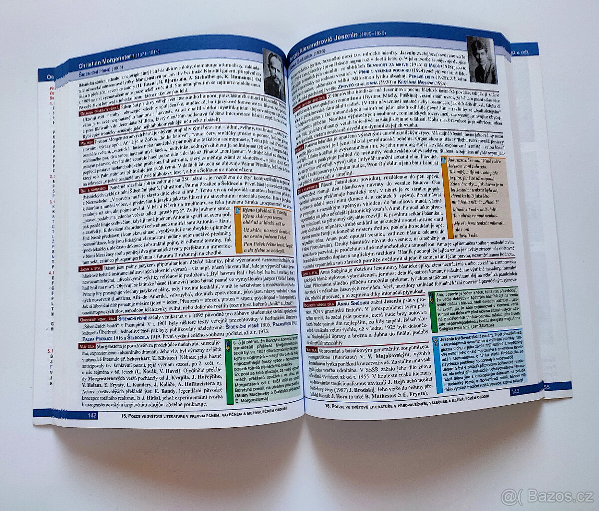 Maturita - literatura rozbory děl - 4