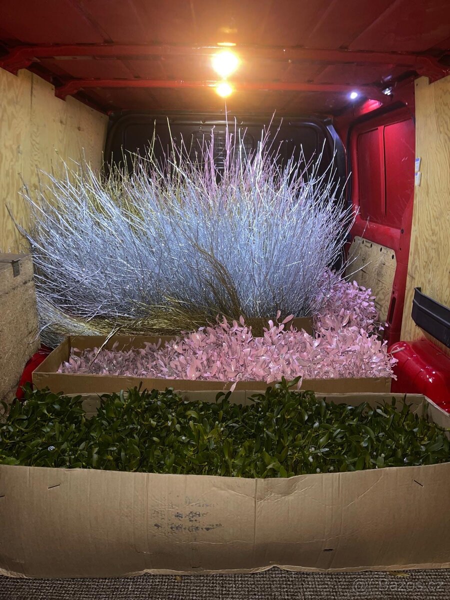 Vánoční Jmeli - 4