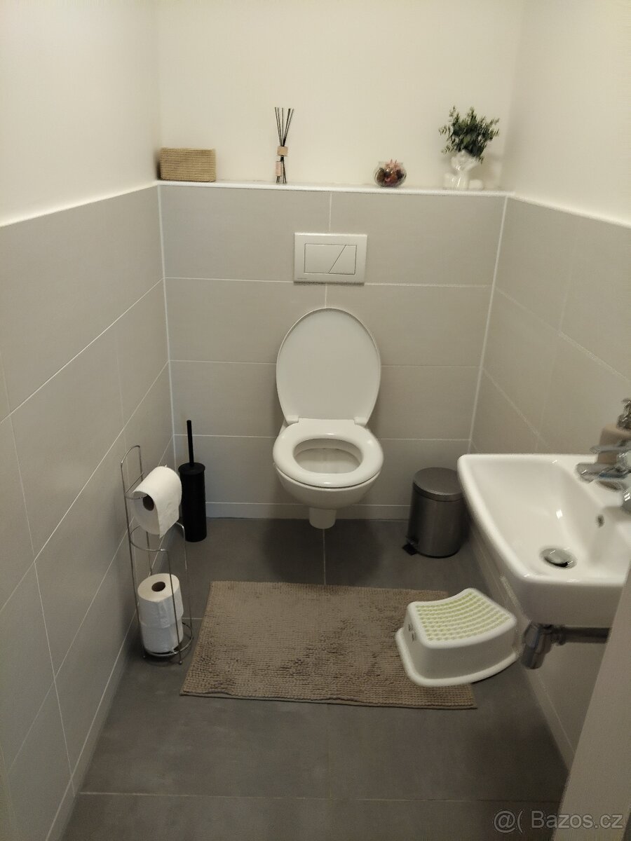 Pronájem bytu 3+kk - 4